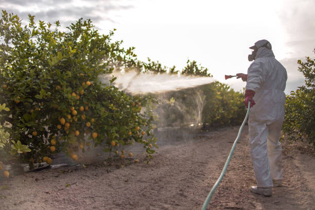 Best Exterminator Services  in Indian River Shores, FL