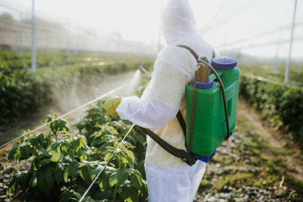 Insect Control in Indian River Shores, FL